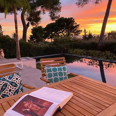 Lion, Gorgeous In Overlooking Cannes Villa Le Cannet
